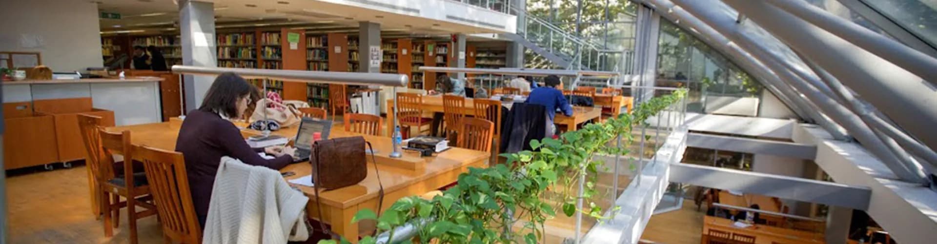 Kütüphanedeki kitaplıklar, çalışma masaları ve cam cephe
